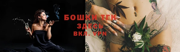дмт Лиски
