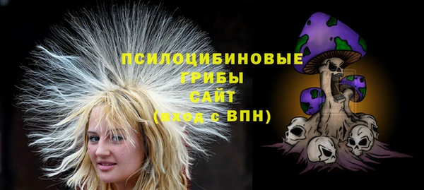 дмт Лиски