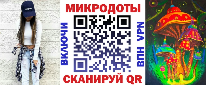 Псилоцибиновые грибы Psilocybe  Купить закладки  Лобня 